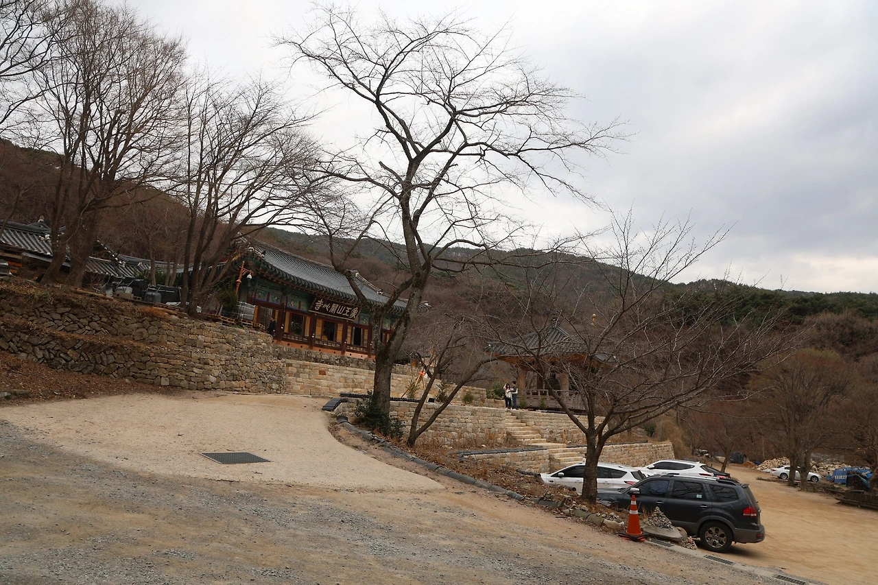 0R5A2829_новый размер.JPG