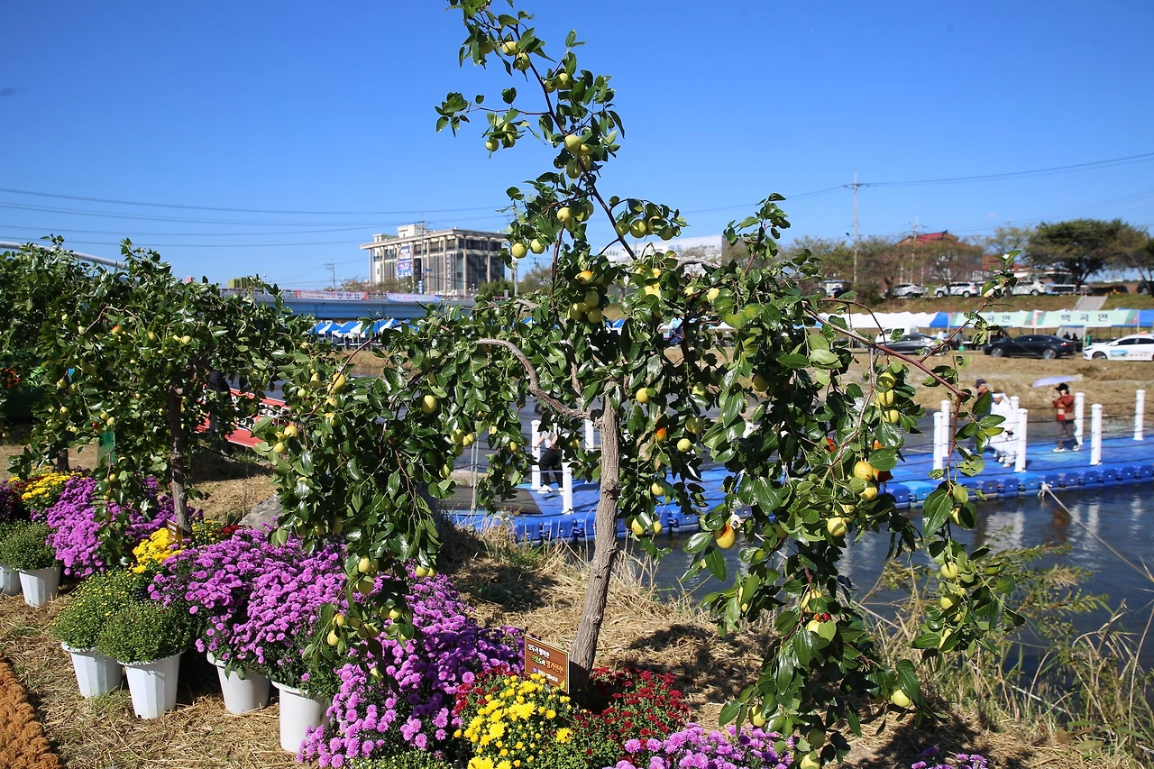 MG0A2401_новый размер.JPG