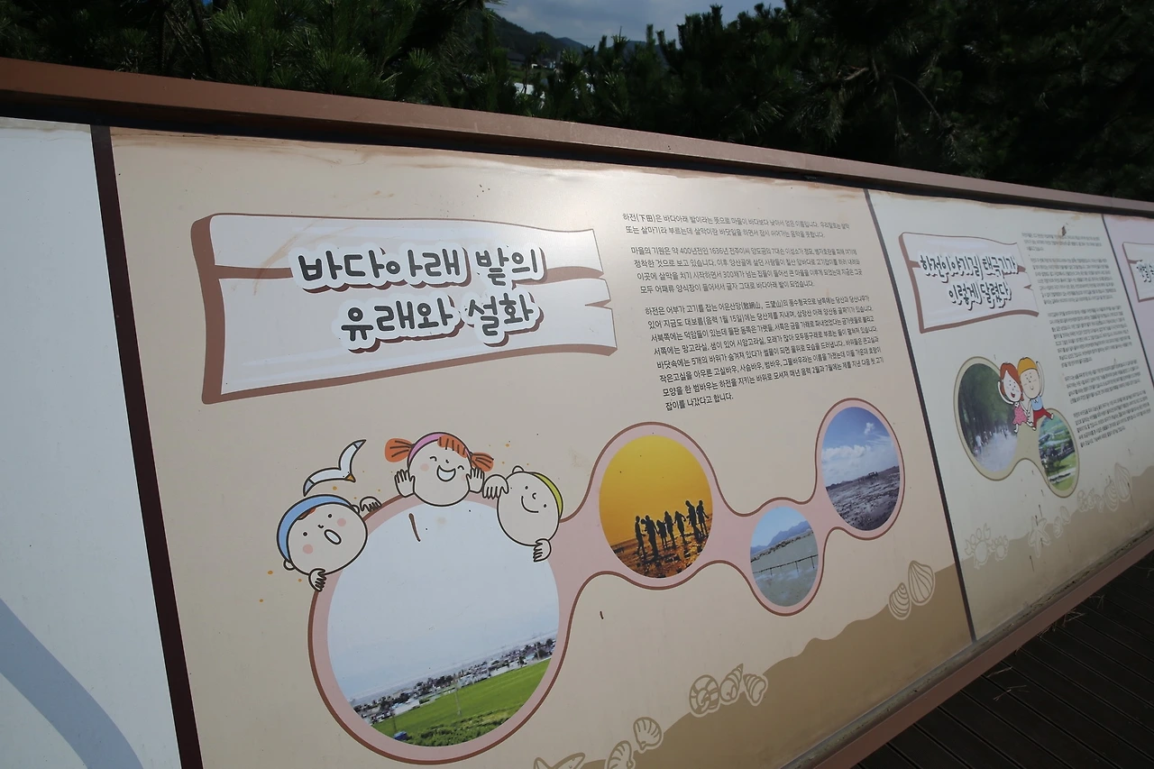 MG0A4589_новый размер.JPG