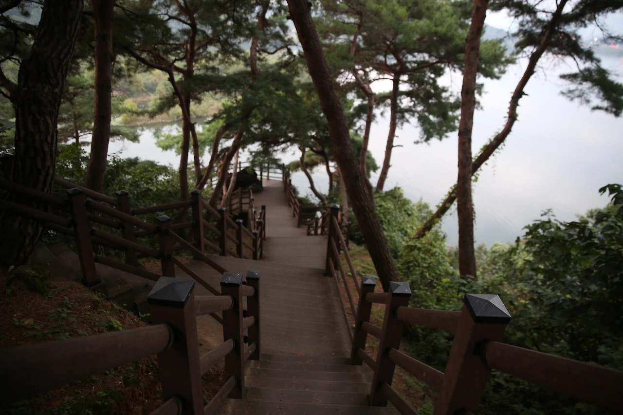 MG0A3762_новый размер.JPG