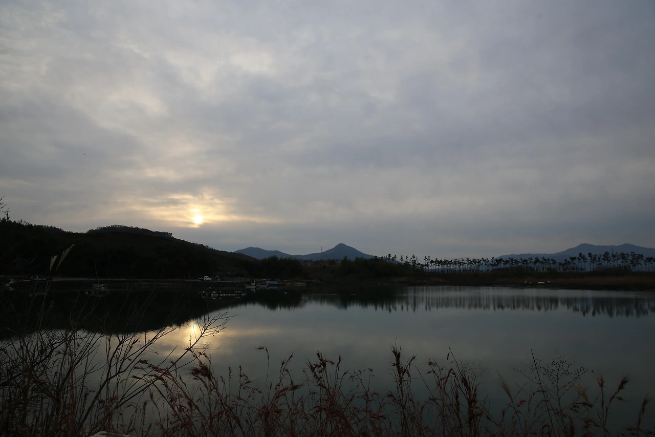 MG0A3886_новый размер.JPG