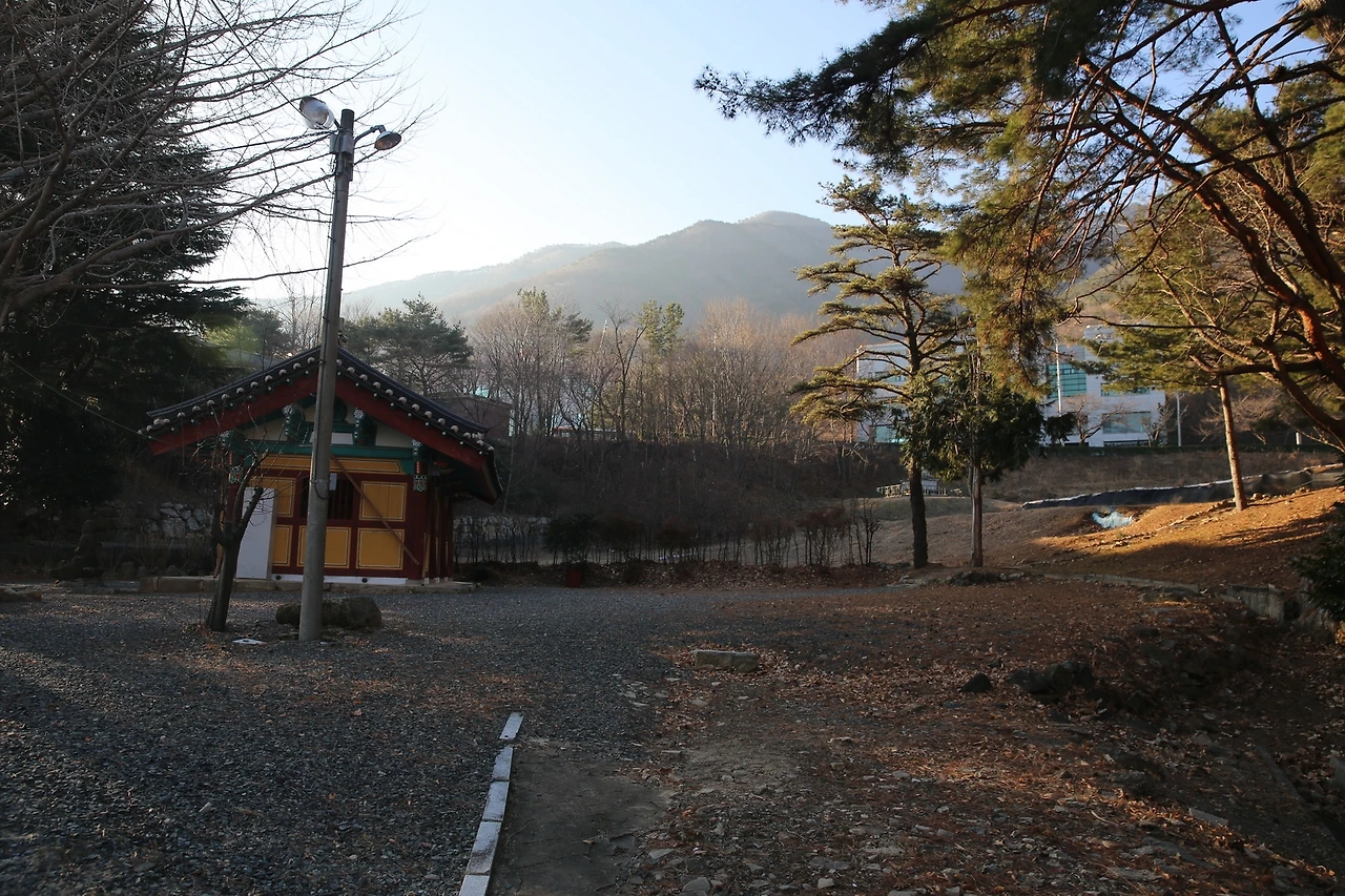 MG0A7611_новый размер.JPG