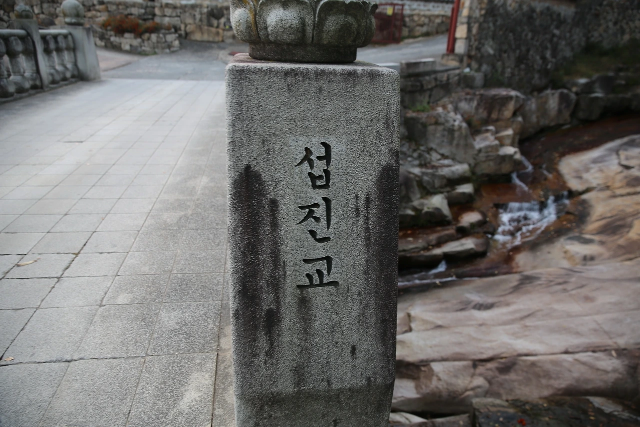 MG0A8357_новый размер.JPG