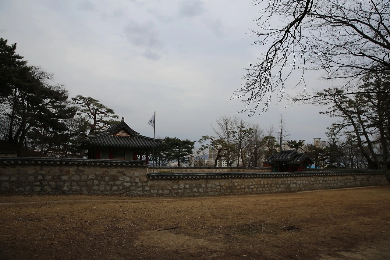 MG0A4626_новый размер.JPG