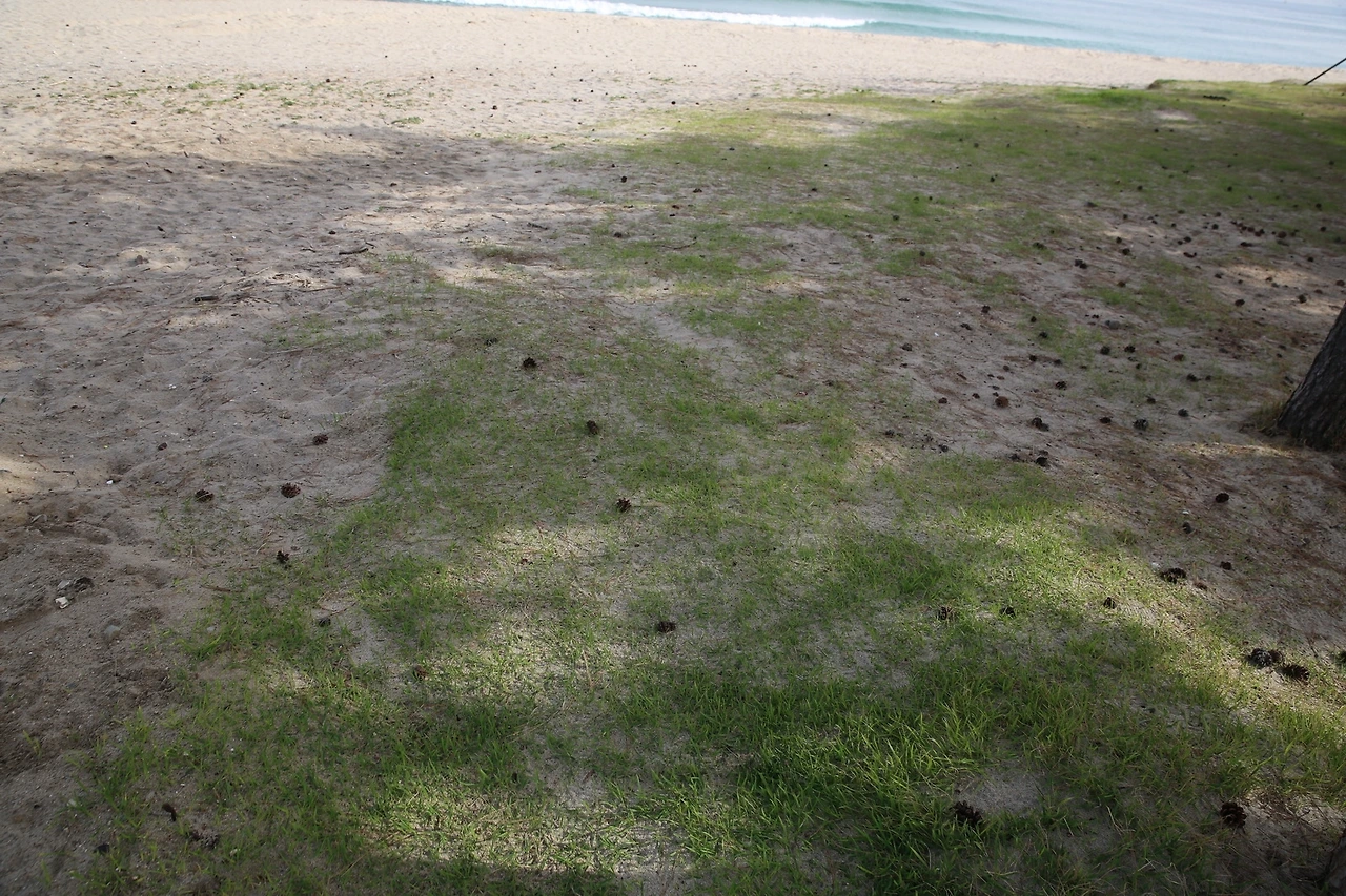 MG0A9944_новый размер.JPG