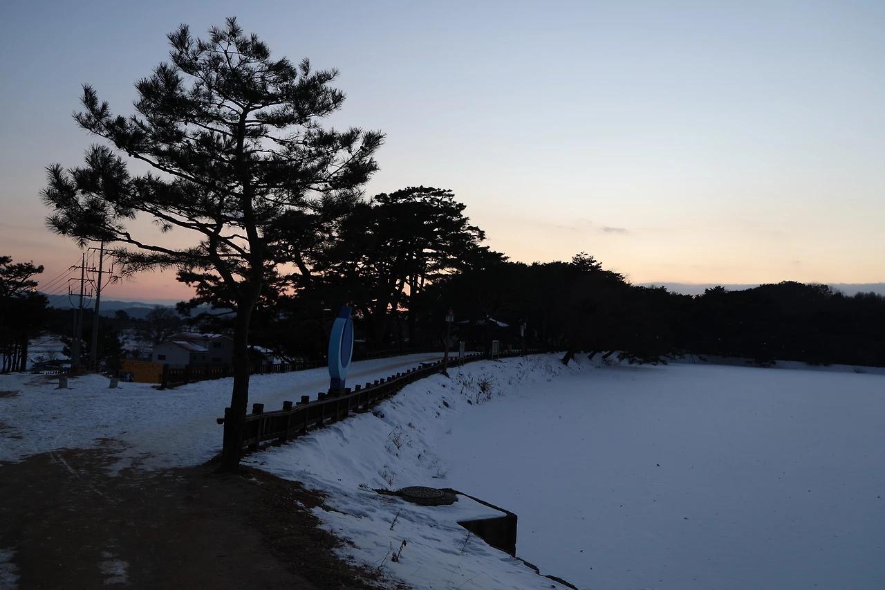 0R5A8246_новый размер.JPG