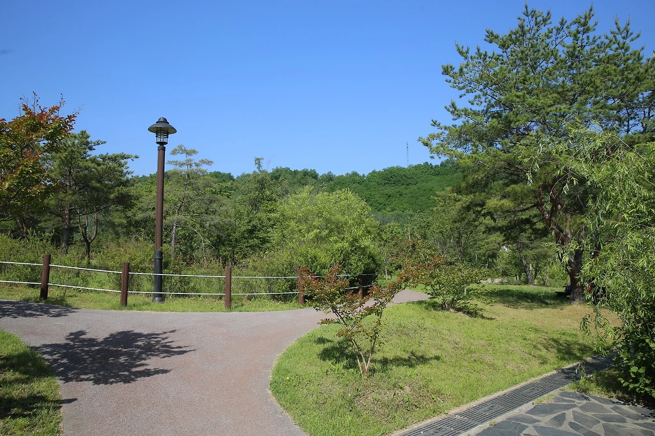 MG0A0053_новый размер.JPG