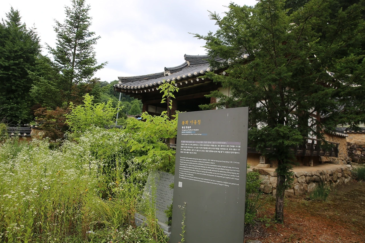 MG0A0428_новый размер.JPG