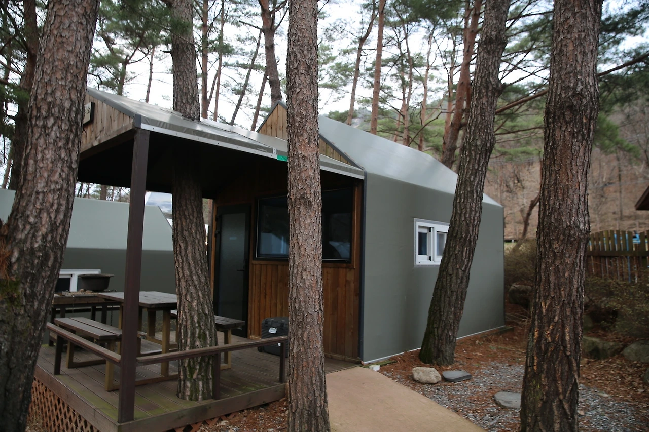 MG0A8407_новый размер.JPG