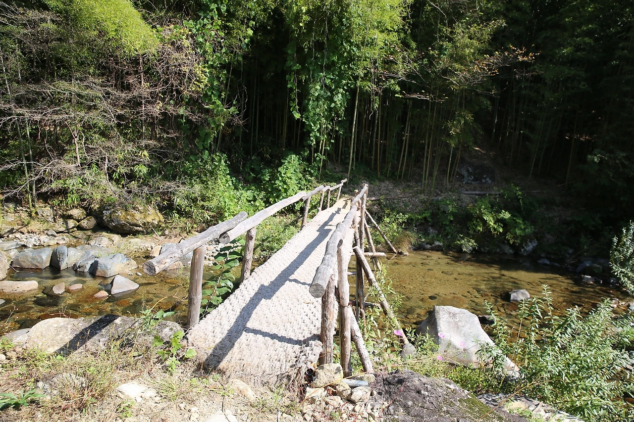 MG0A5749_новый размер.JPG