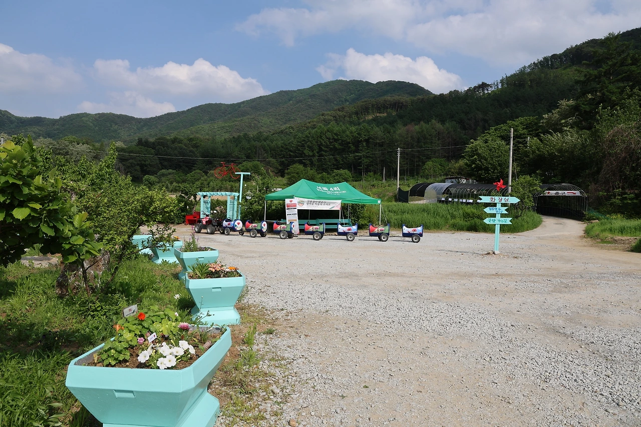 0R5A1537_новый размер.JPG