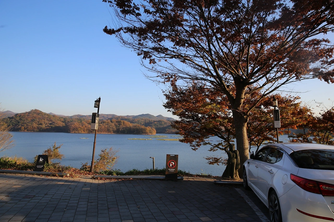 MG0A1371_новый размер.JPG