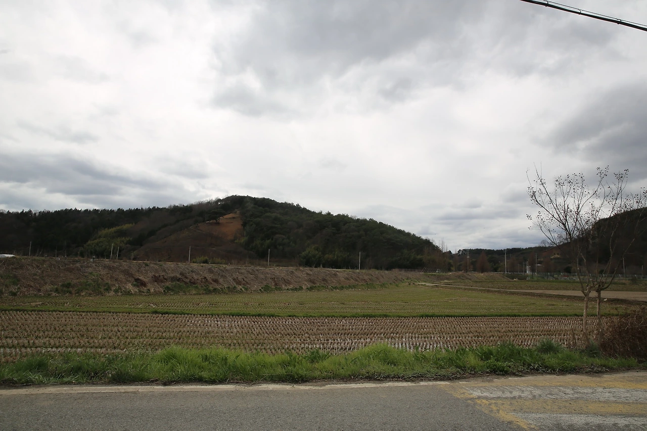 MG0A6948_новый размер.JPG