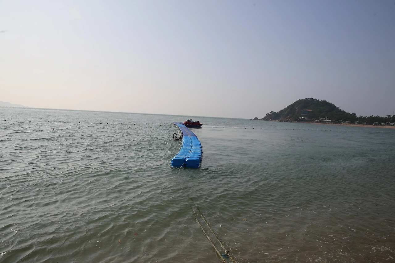 MG0A4047_новый размер.JPG