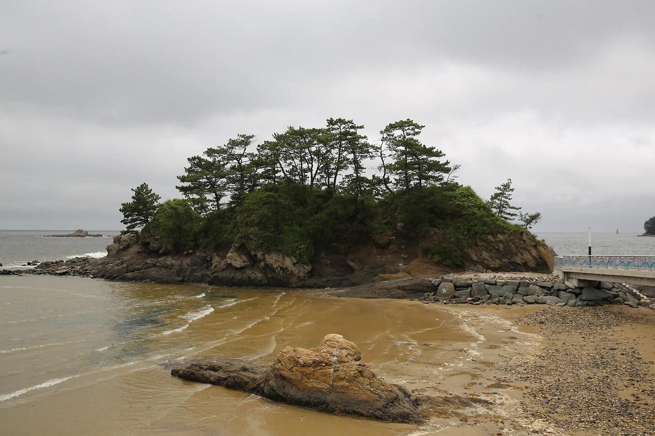 MG0A3658_новый размер.JPG