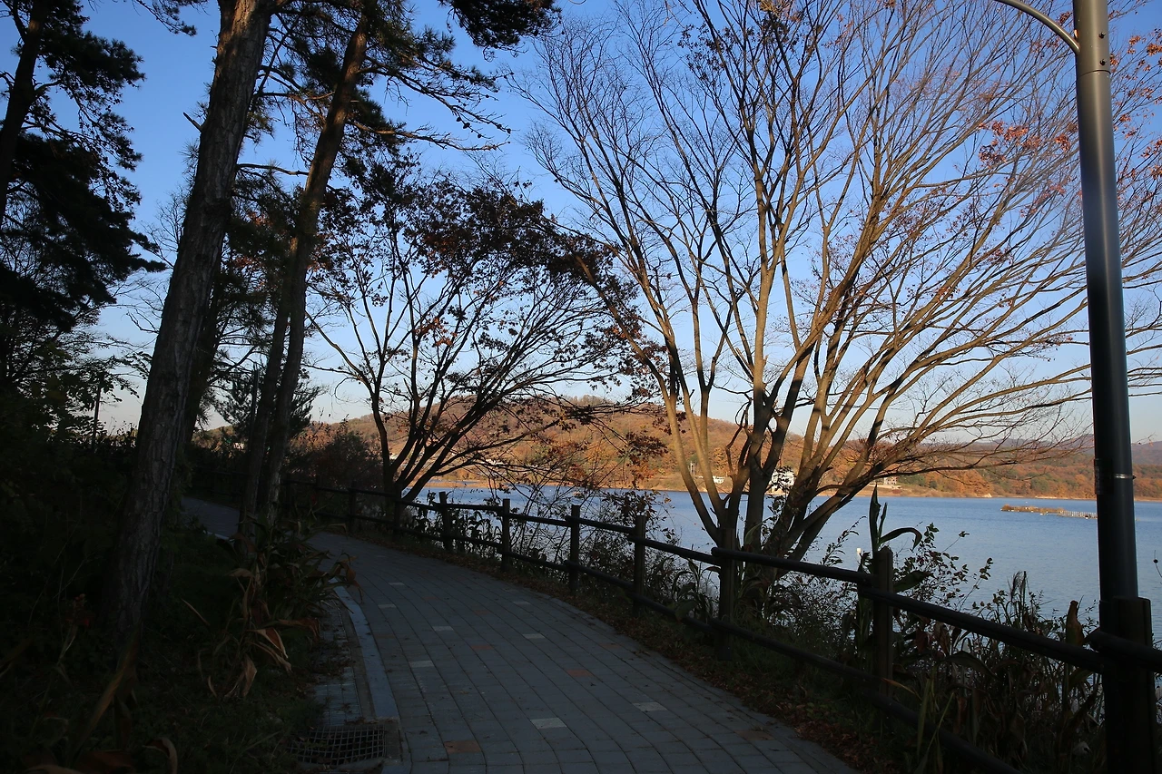 MG0A1379_новый размер.JPG