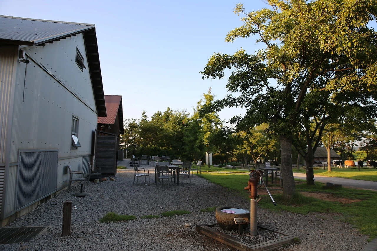 MG0A1402_новый размер.JPG