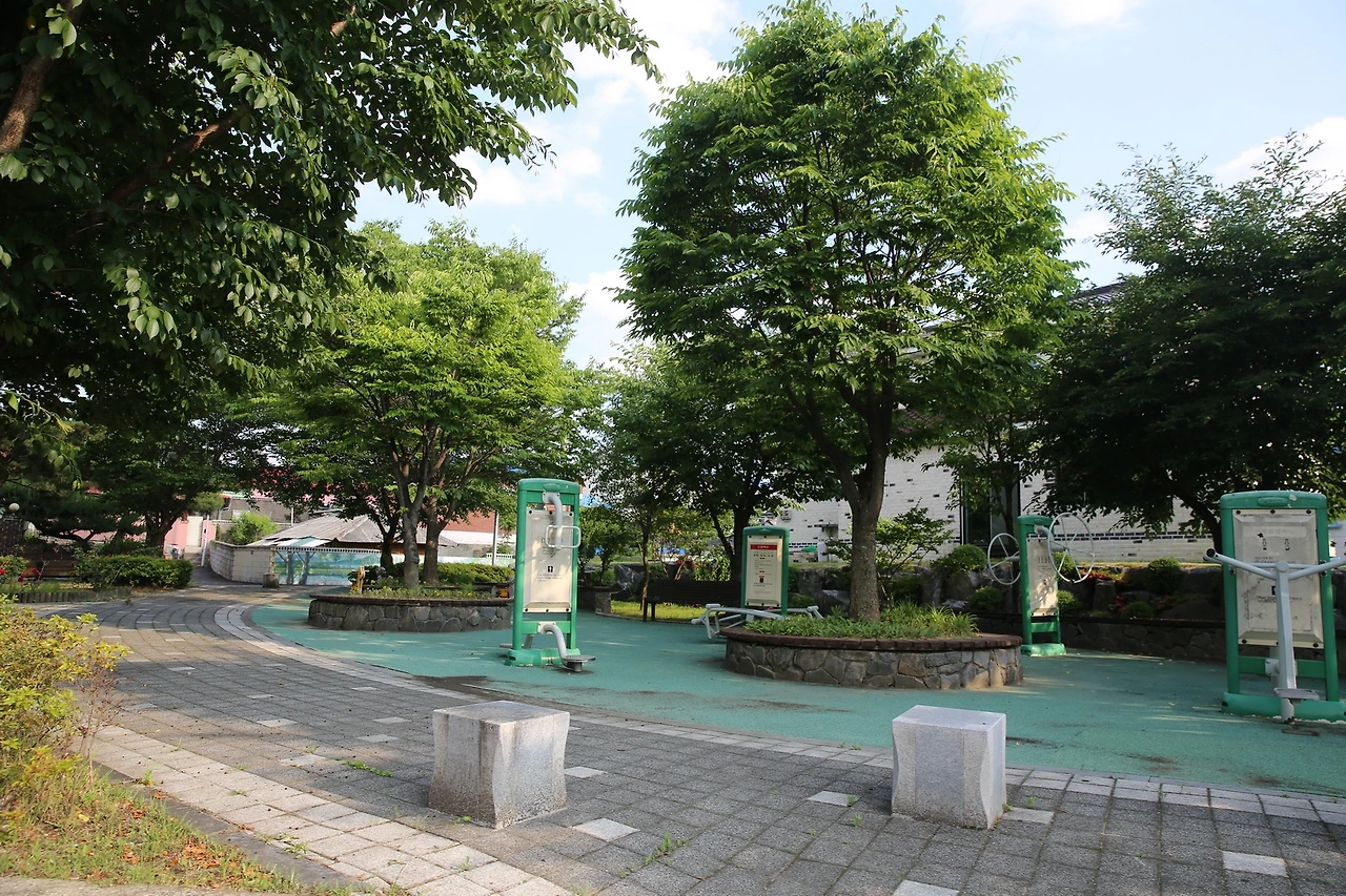 MG0A1655_новый размер.JPG