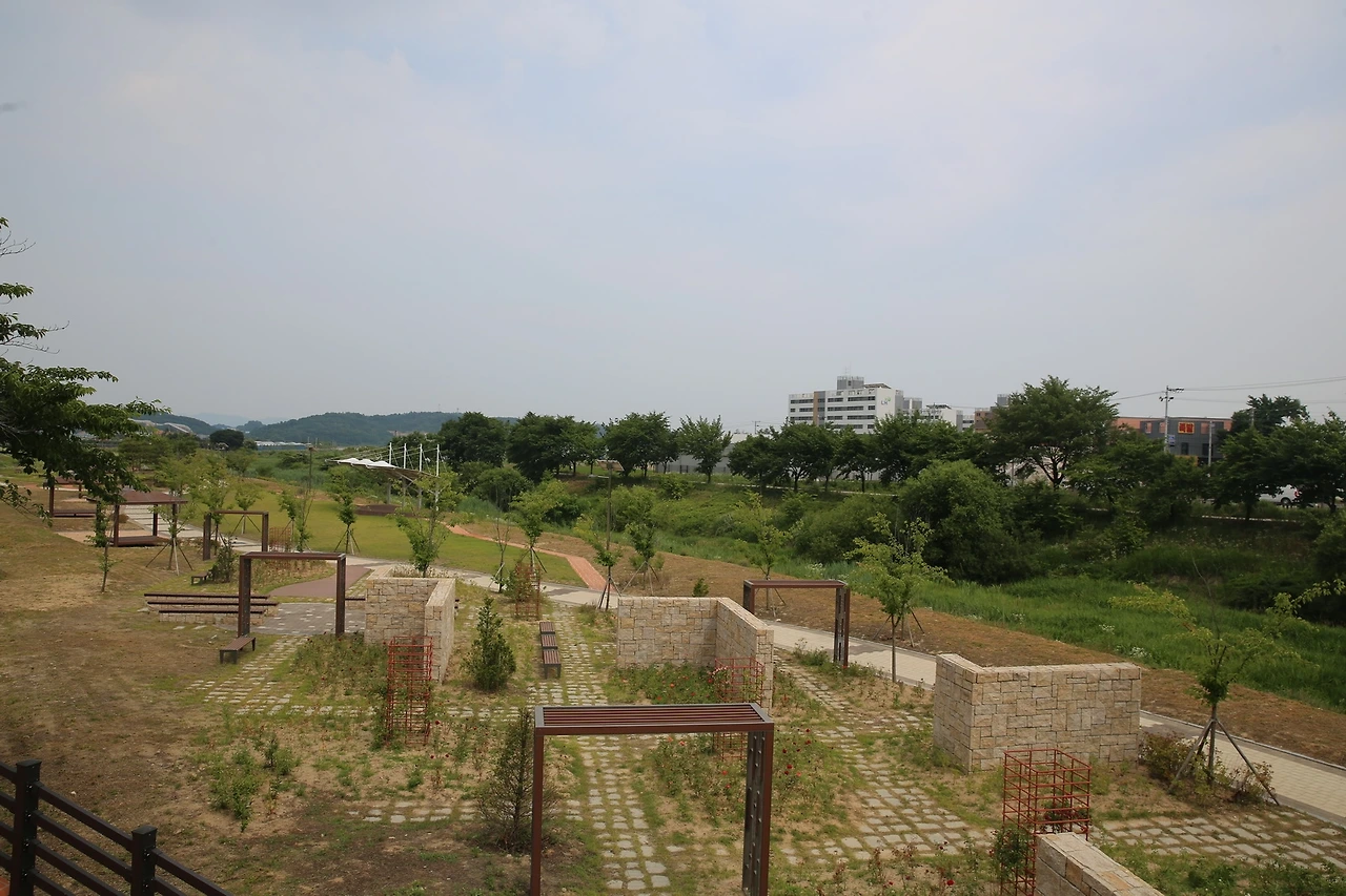 MG0A2438_новый размер.JPG