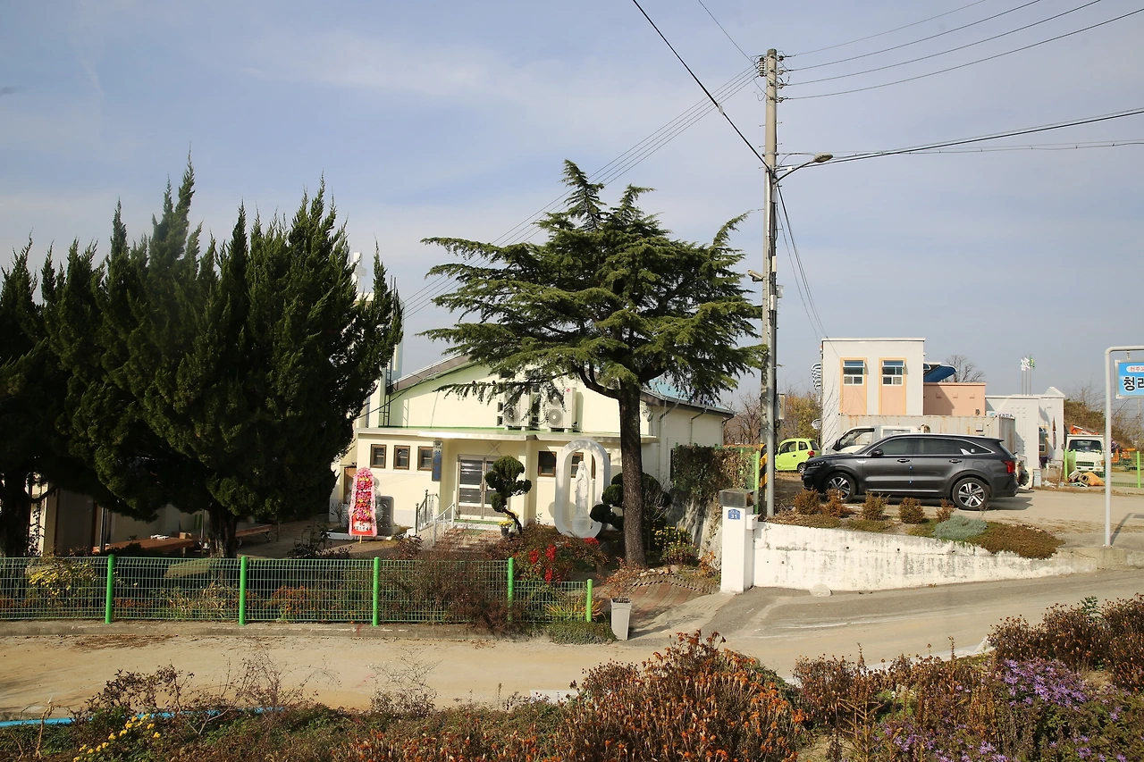 MG0A1687_новый размер.JPG