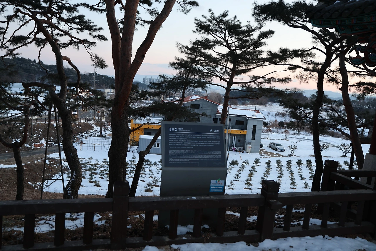 0R5A8253_новый размер.JPG