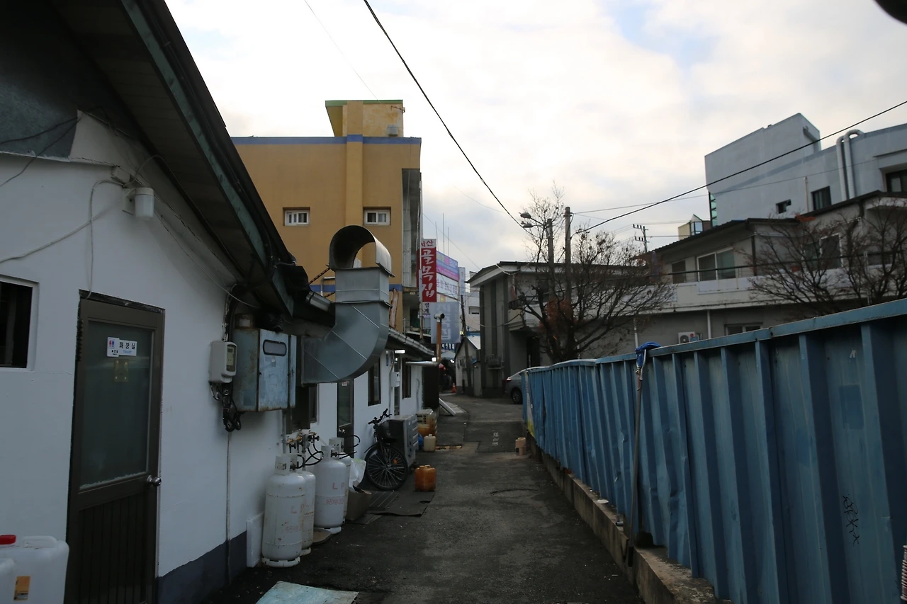 MG0A4076_новый размер.JPG