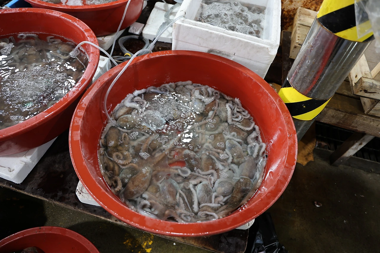 0R5A9904_новый размер.JPG