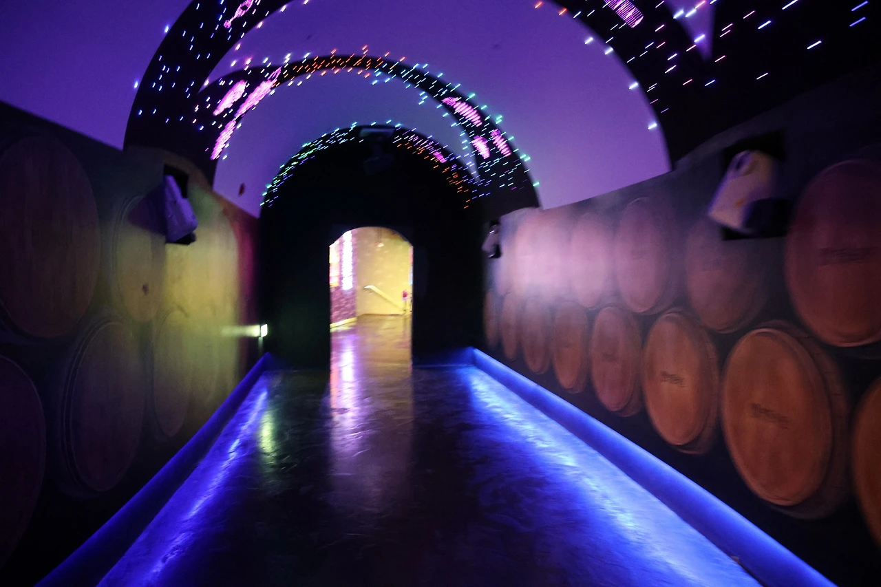 0R5A8173_новый размер.JPG