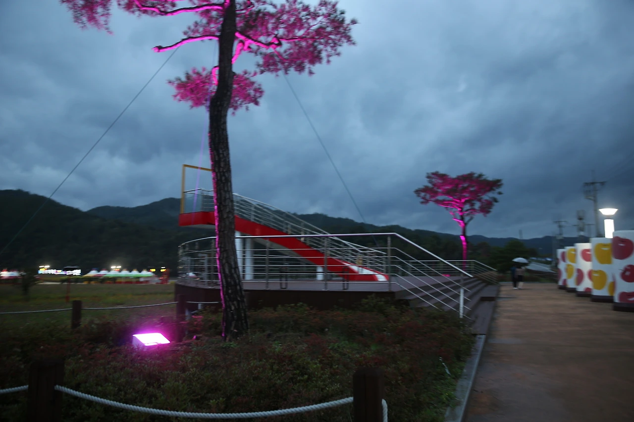 MG0A5782_новый размер.JPG