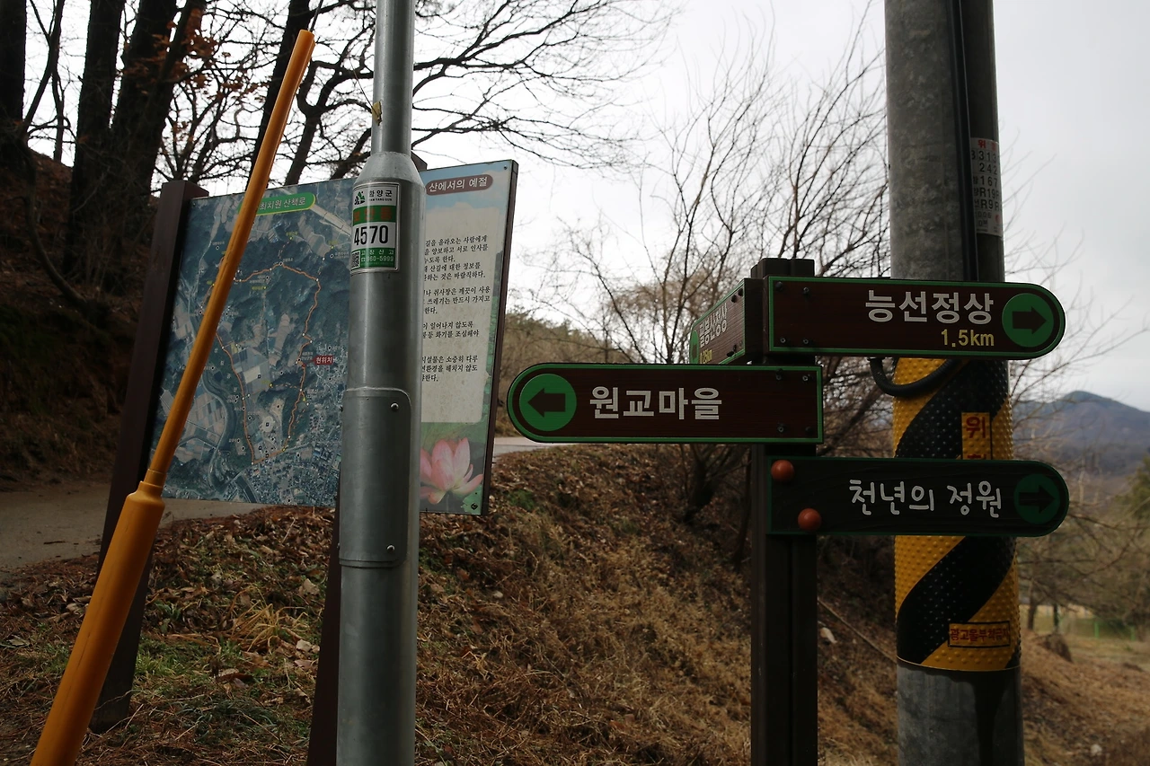 MG0A0407_новый размер.JPG