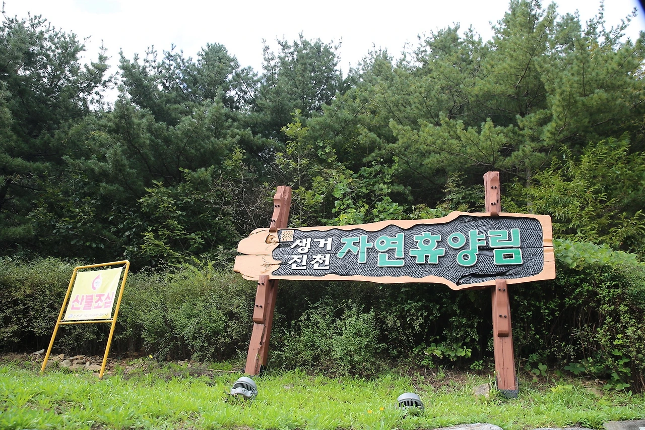 MG0A5576_новый размер.JPG