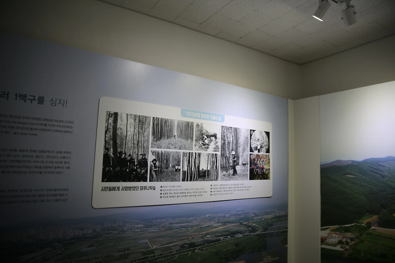 MG0A2204_новый размер.JPG