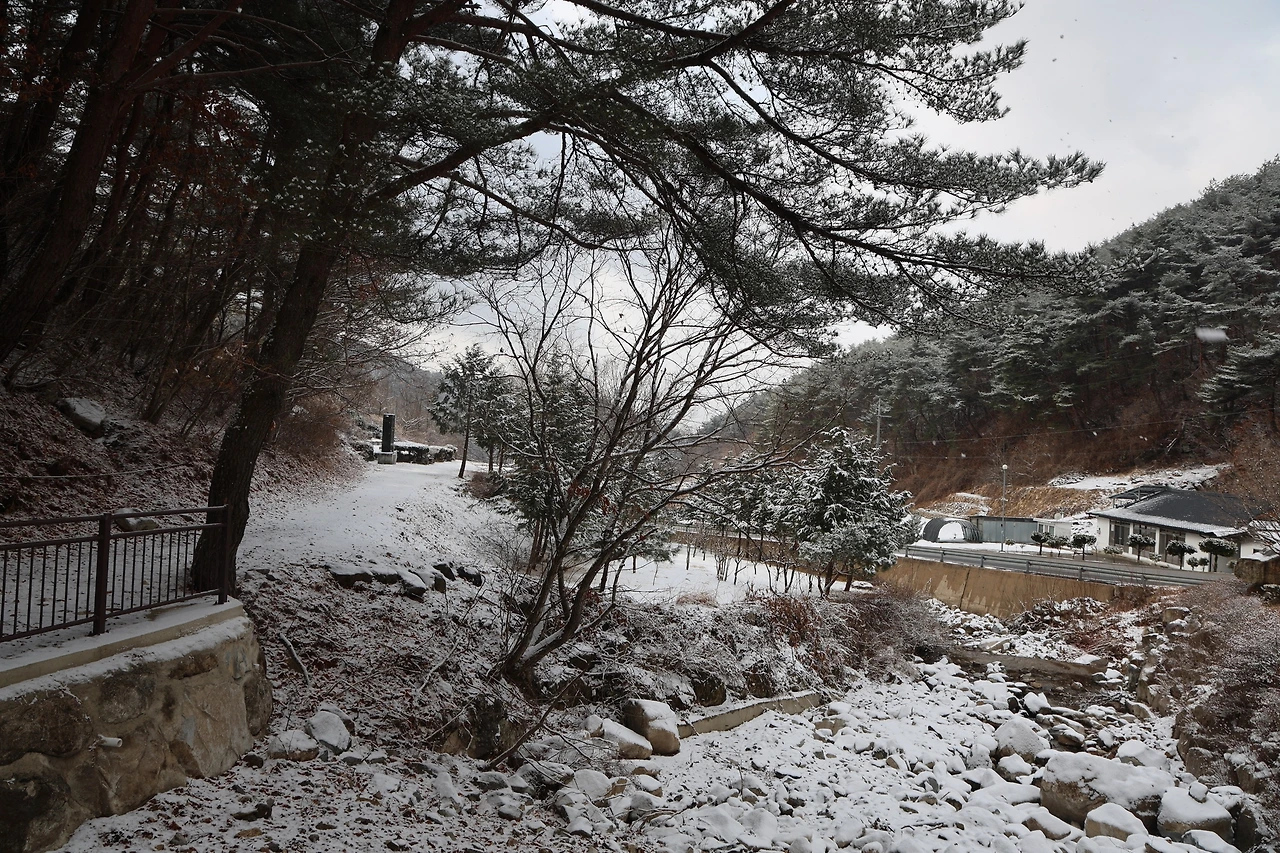 0R5A3138_новый размер.JPG