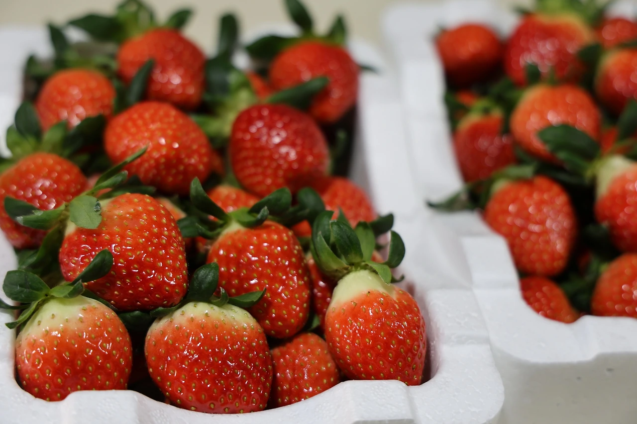 0R5A5548_новый размер.JPG