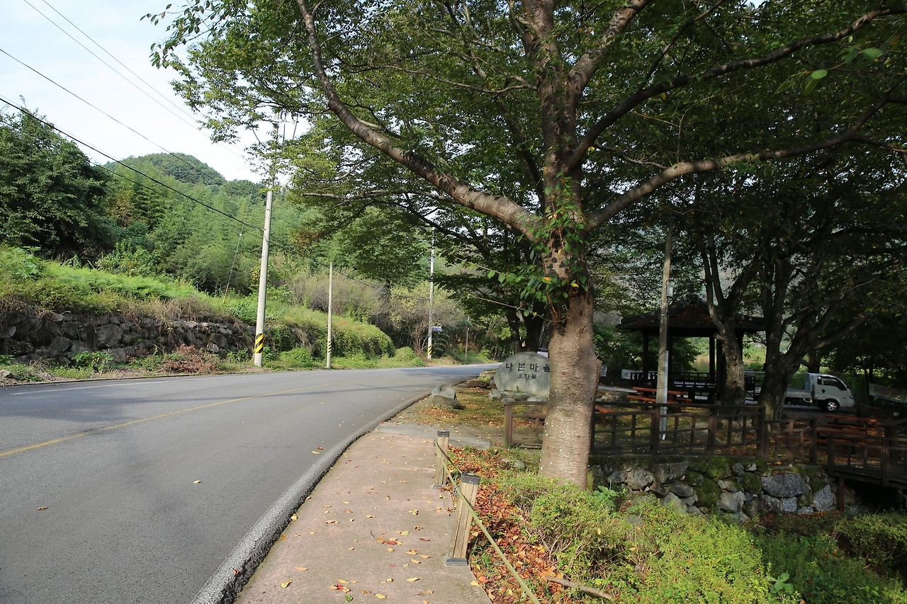 MG0A5849_новый размер.JPG