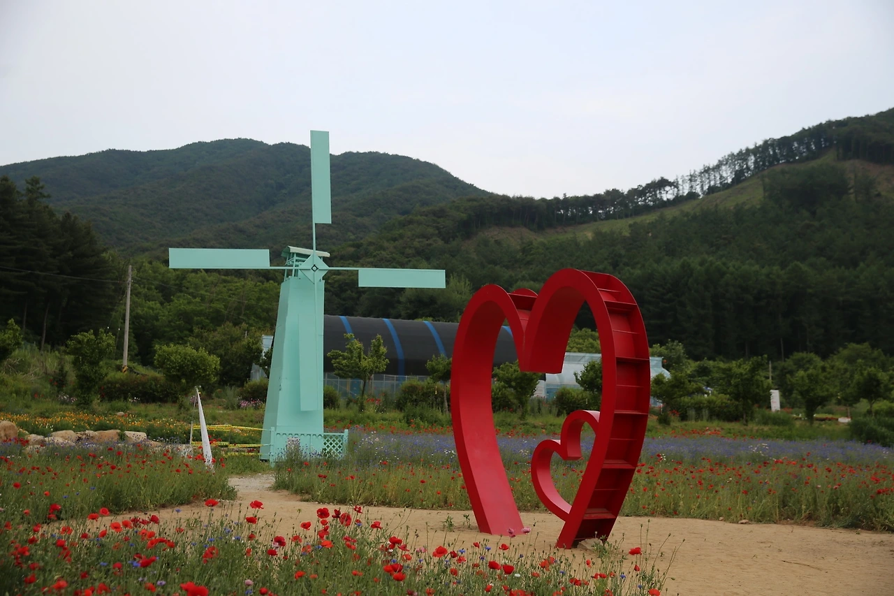 MG0A1184_новый размер.JPG