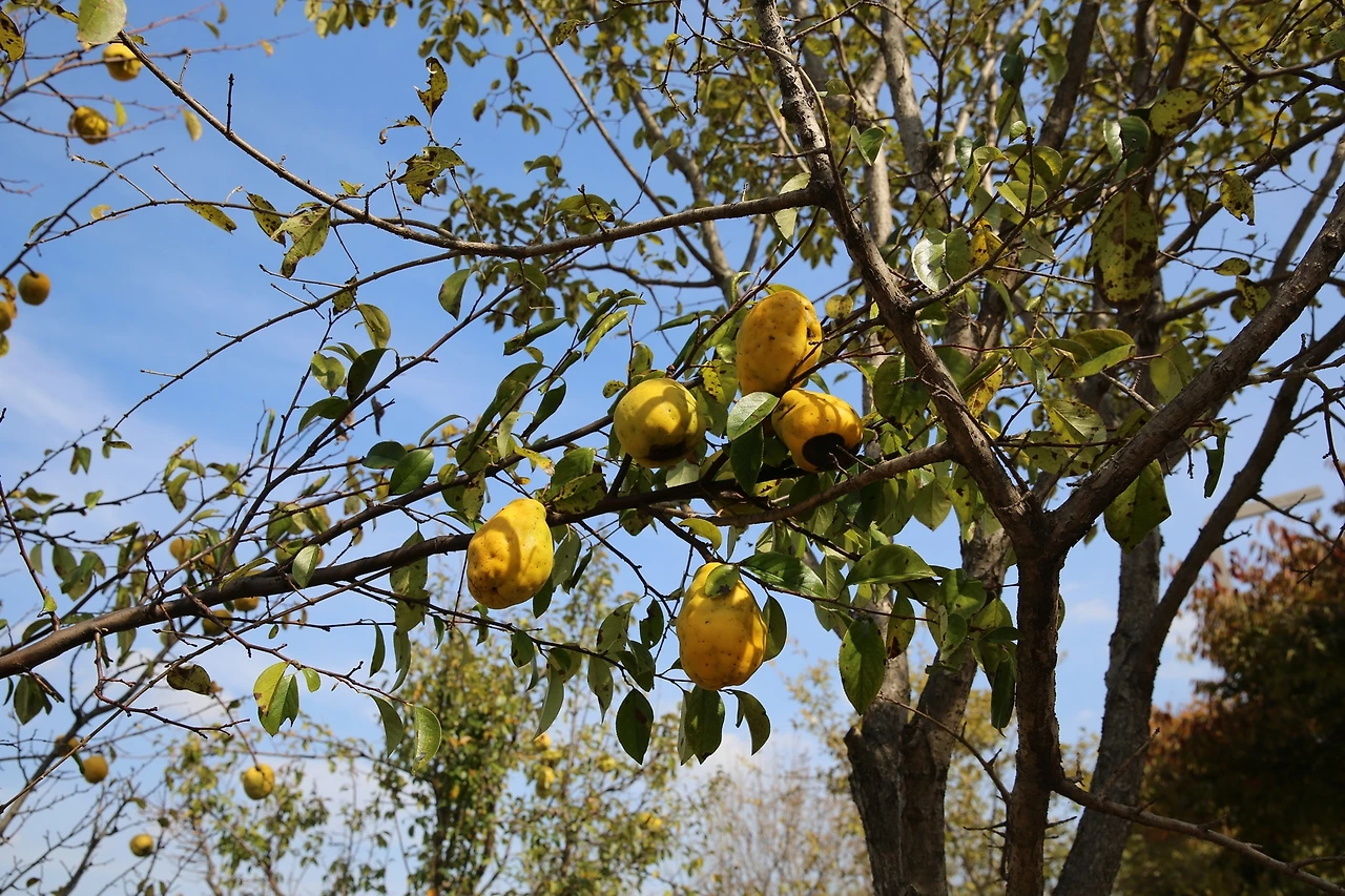 MG0A7287_новый размер.JPG