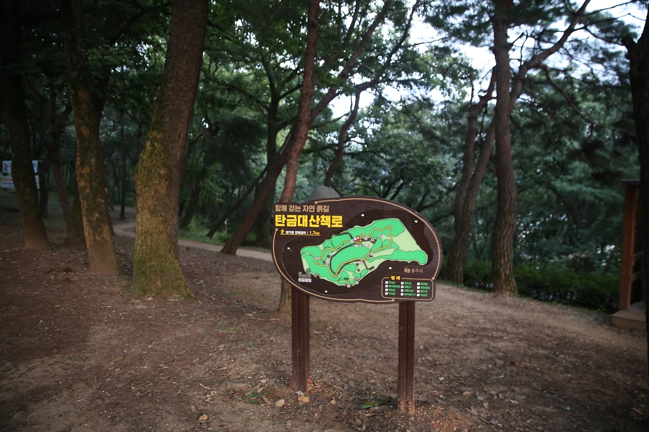 MG0A3741_новый размер.JPG