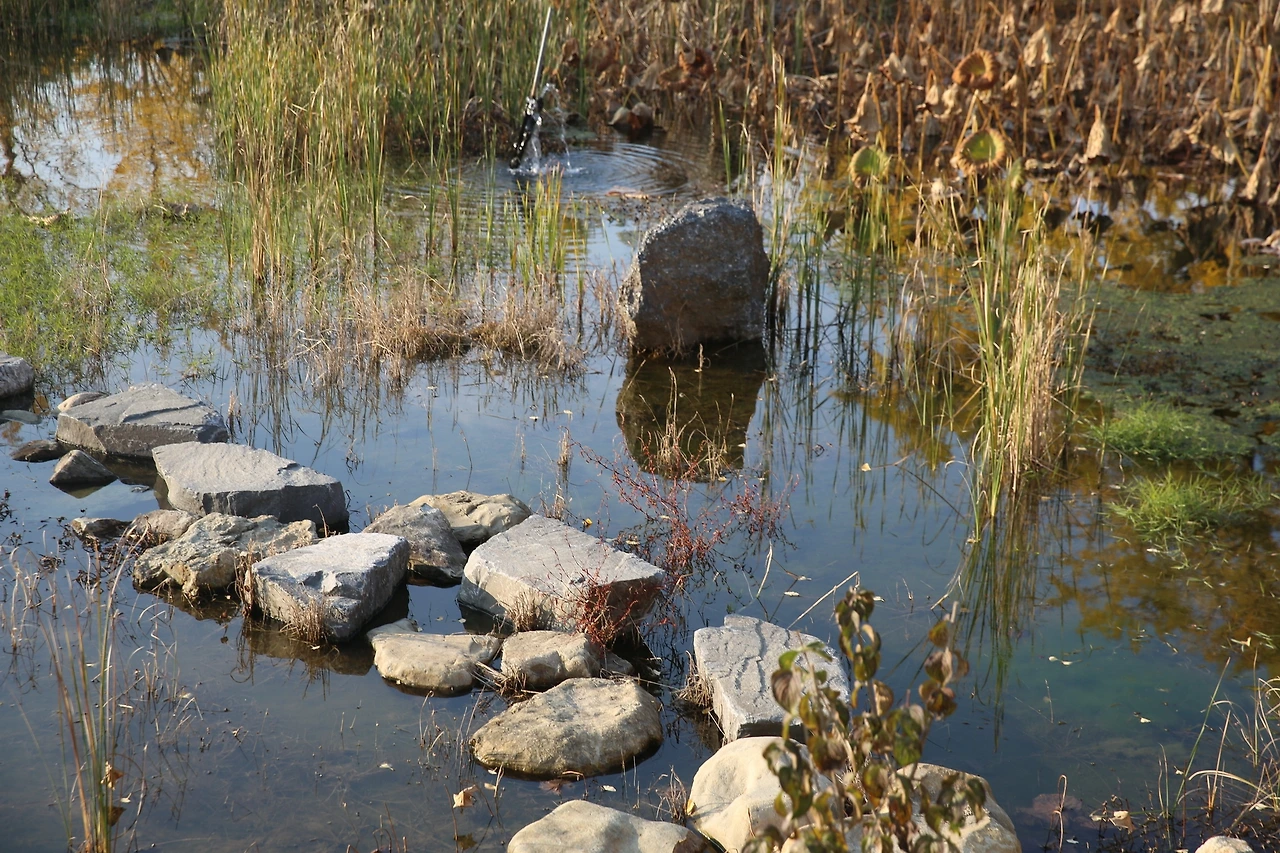 MG0A9400_новый размер.JPG