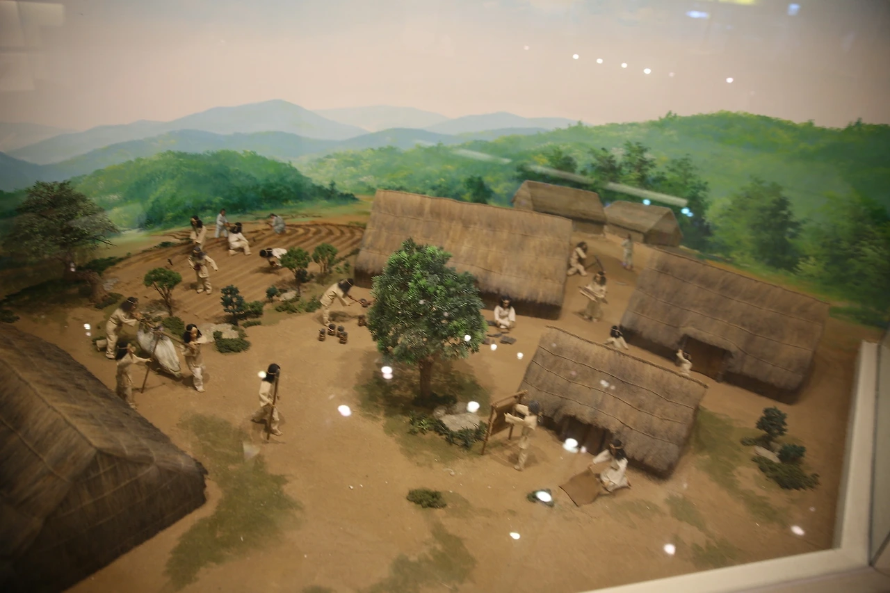 MG0A6992_новый размер.JPG