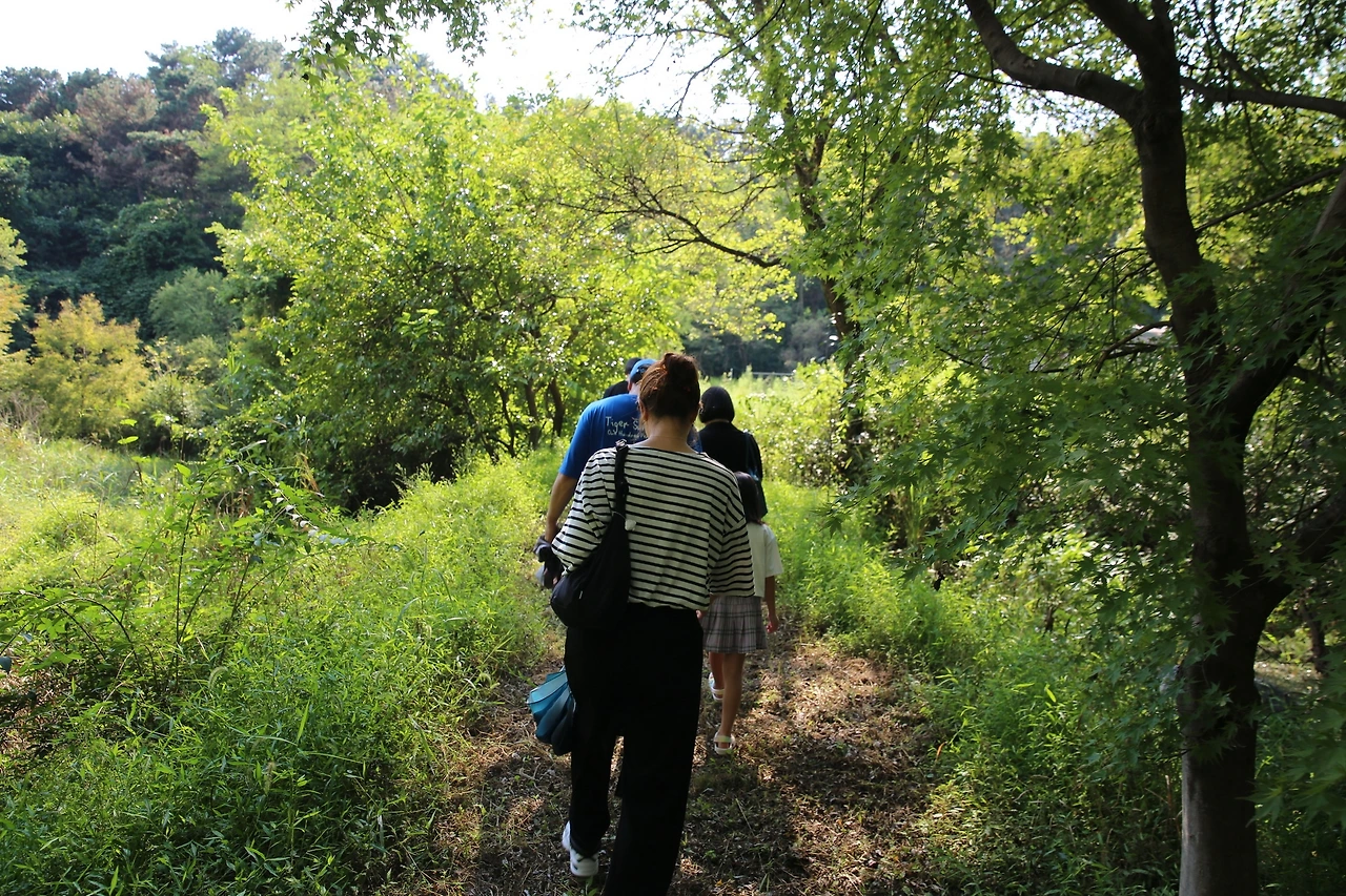 MG0A0065_новый размер.JPG