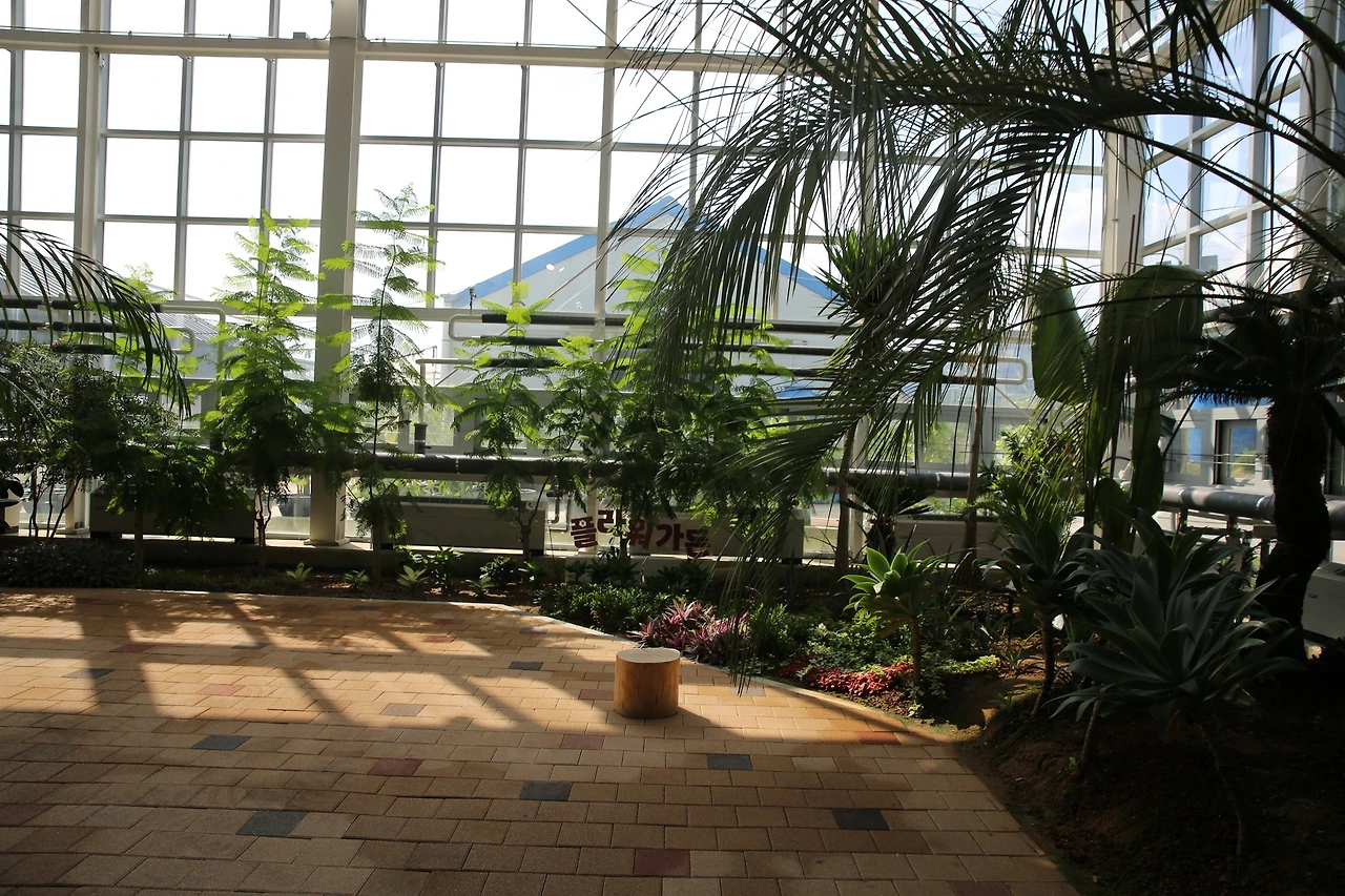 MG0A0446_новый размер.JPG