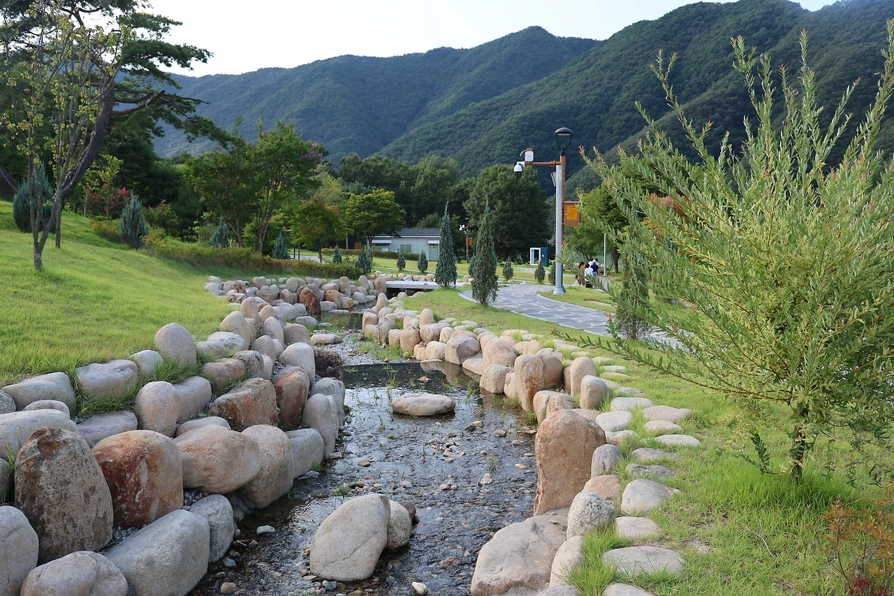 0R5A3854_новый размер.JPG