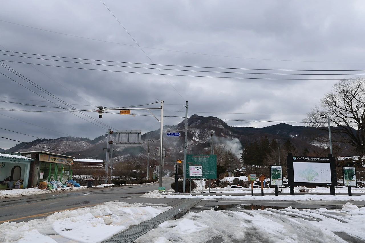 0R5A1677_новый размер.JPG