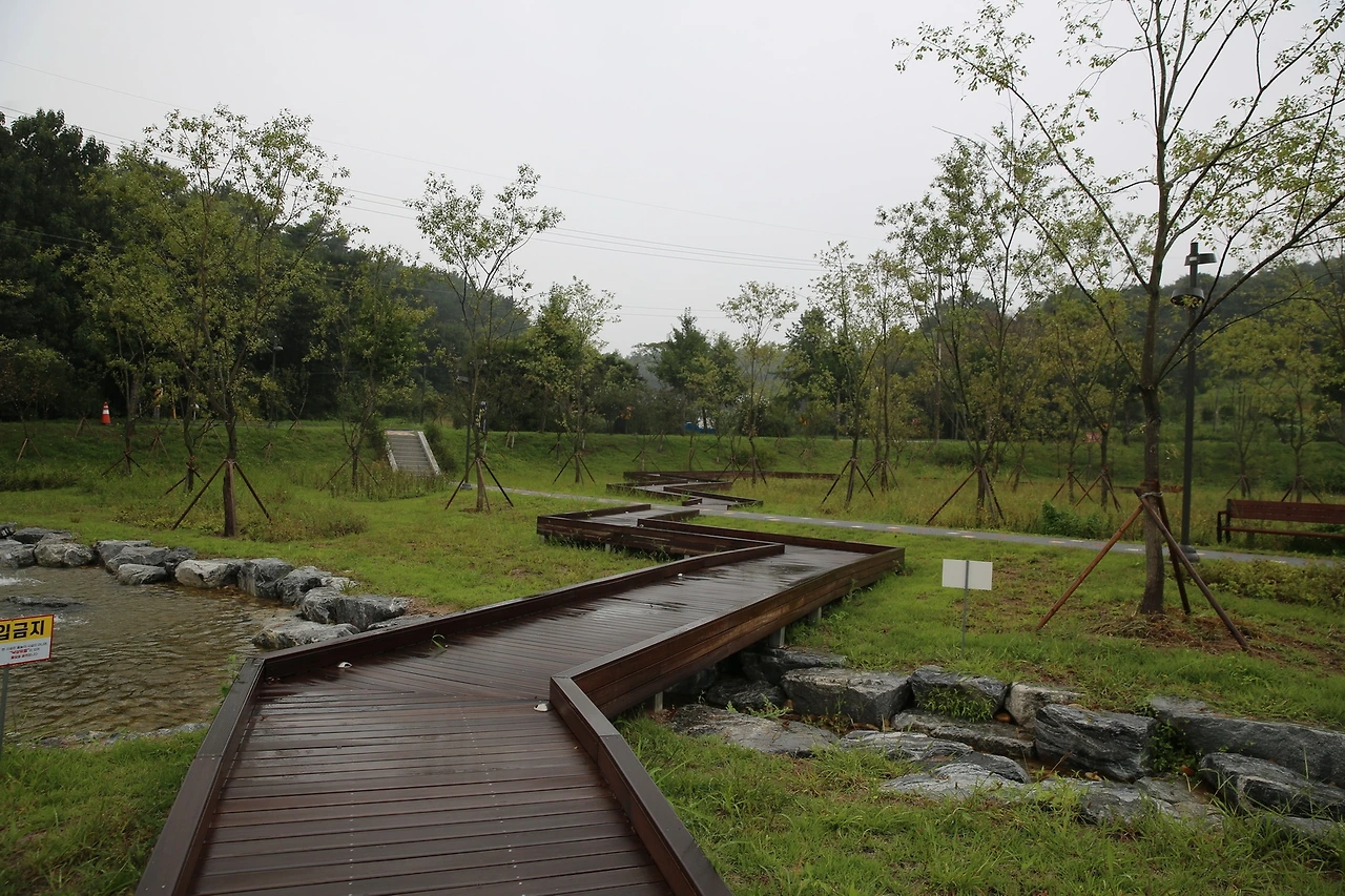 MG0A1759_новый размер.JPG