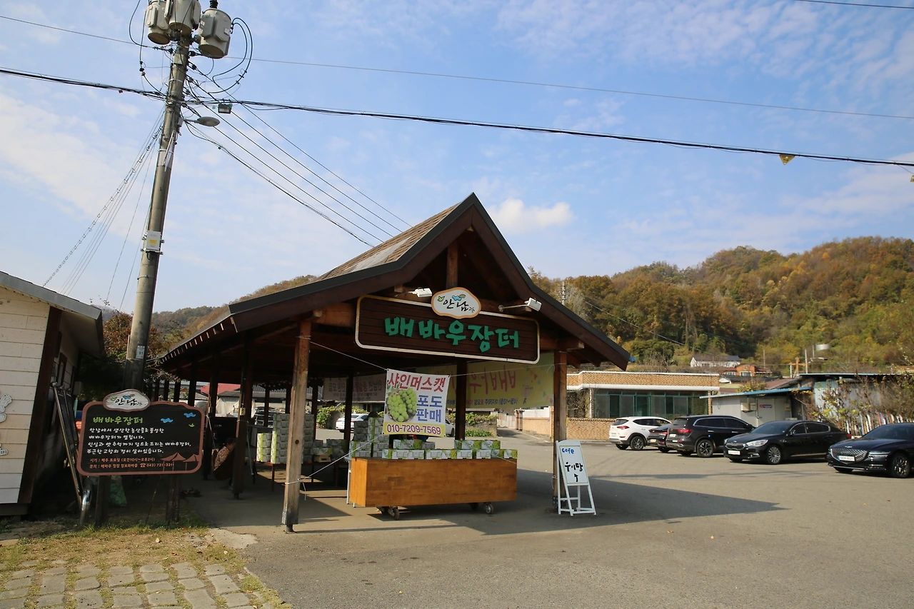 MG0A9887_новый размер.JPG