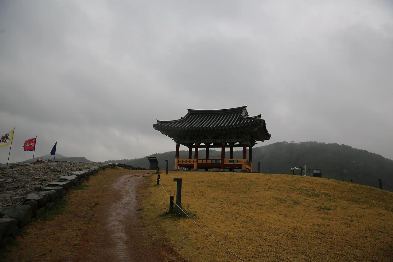 MG0A6511_новый размер.JPG