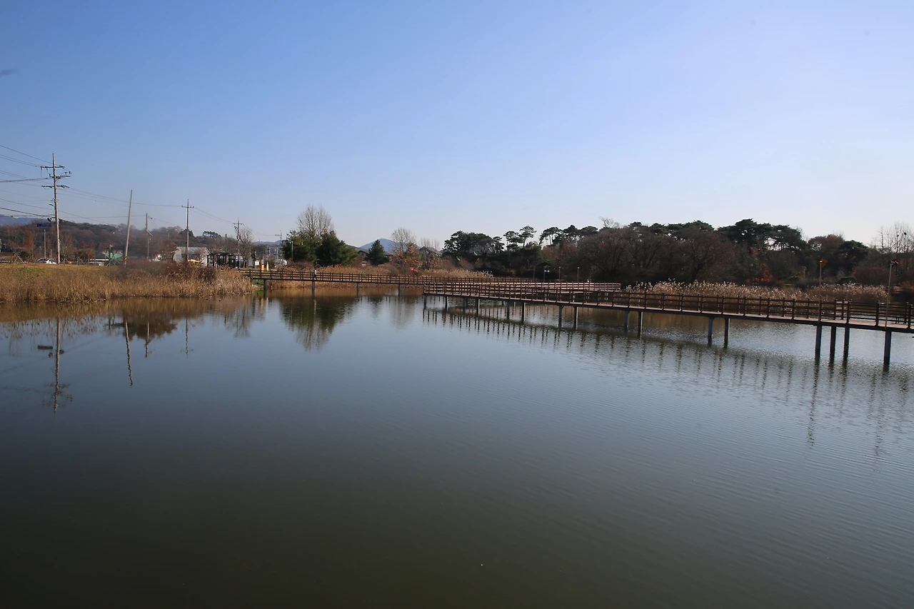 MG0A2705_новый размер.JPG