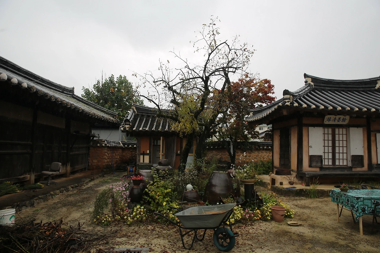 MG0A5994_новый размер.JPG