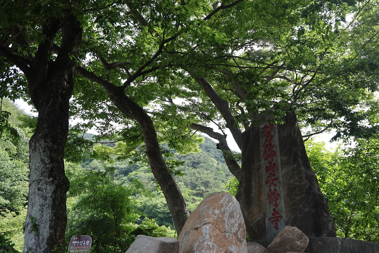 0R5A4090_новый размер.JPG